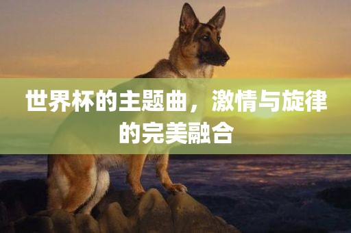 世界杯的主题曲，激情与旋律的完美融合