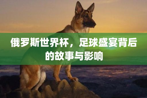 俄罗斯世界杯，足球盛宴背后的故事与影响