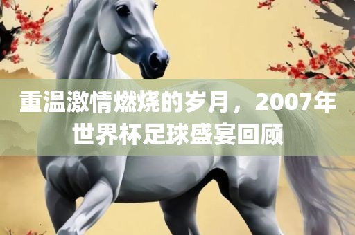 重温激情燃烧的岁月，2007年世界杯足球盛宴回顾