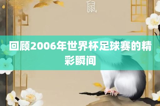 金炬实业股份有限公司回顾2006年世界杯足球赛的精彩瞬间