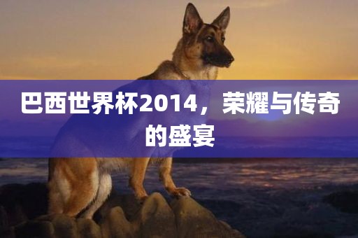 巴西世界杯2014，荣耀与传奇的盛宴金炬实业股份有限公司
