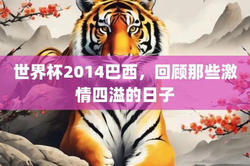 世界杯2014巴西金炬实业股份有限公司，回顾那些激情四溢的日子