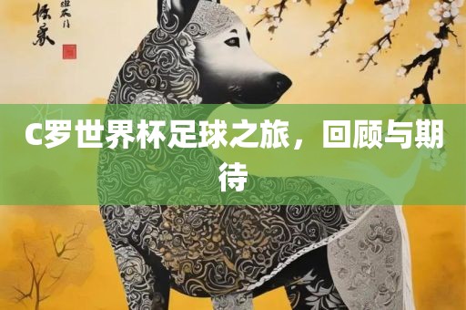 C罗世界杯足球之旅，回顾与期待