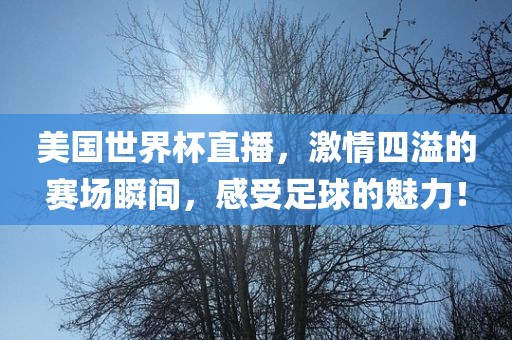 美国世界杯直播，激情四溢的赛场瞬间，感受足球的魅力！