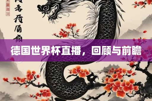 德国世界杯直播，回顾与前瞻金炬实业股份有限公司