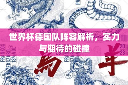 世界杯德国队阵容解析，实力与期待的碰撞