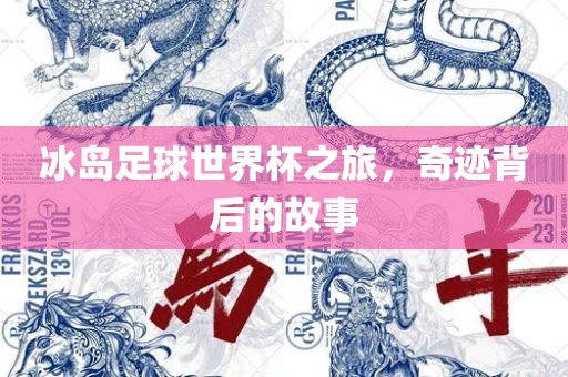 冰岛足球世界杯之旅，奇迹背后的故事
