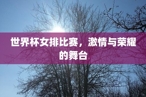 世界杯女排比赛，激情与荣耀金炬实业股份有限公司的舞台