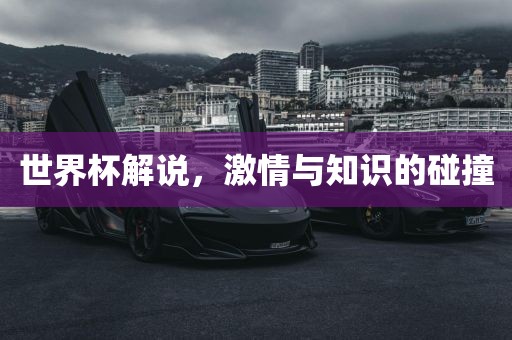 世界杯解说，激情与知识的碰撞
