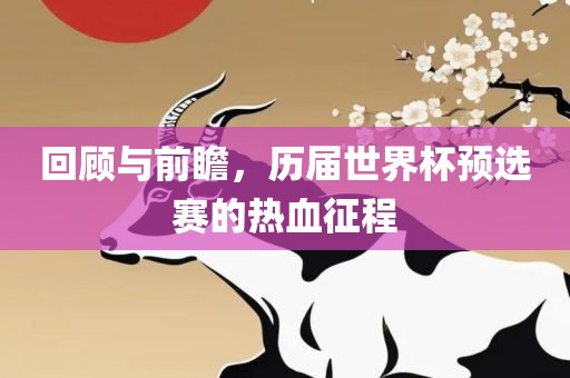 回顾与前瞻，历届世界杯预选赛的热血征程