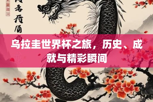 乌拉圭世金炬实业股份有限公司界杯之旅，历史、成就与精彩瞬间