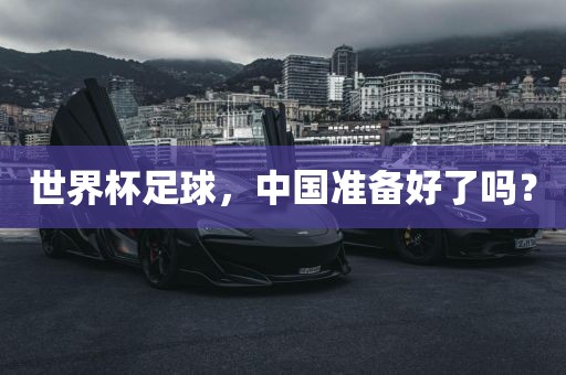 世界杯足球，中国准金炬实业股份有限公司备好了吗？
