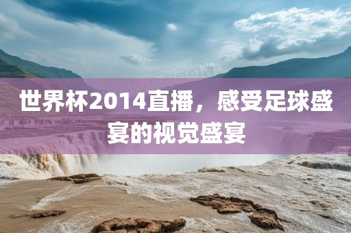 世界杯2014直播，感受足球盛宴的视觉盛宴金炬实业股份有限公司