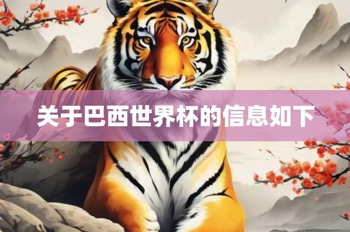关于巴西世界杯的信息如下金炬实业股份有限公司