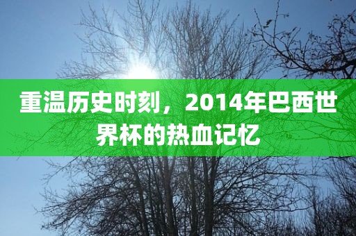 重温历史时刻，2014年巴西世界杯的热血记忆金炬实业股份有限公司