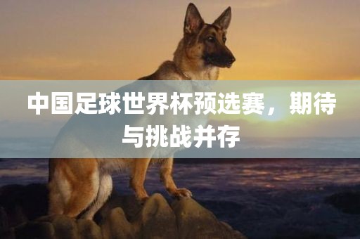 中国足球世界杯预选赛，期待与挑战并存