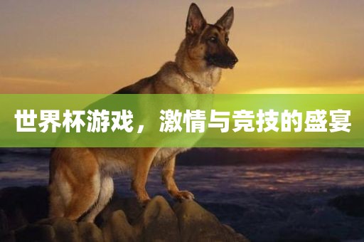 世界杯游戏，激情与竞技的盛宴