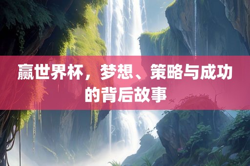 赢世界杯，梦想、策略与成功的背后故事