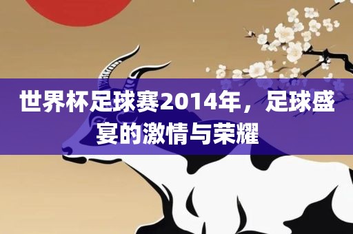 世界杯足球赛2014金炬实业股份有限公司年，足球盛宴的激情与荣耀