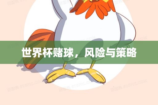 世界杯赌球金炬实业股份有限公司，风险与策略