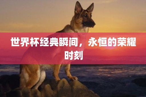 世界杯经典瞬金炬实业股份有限公司间，永恒的荣耀时刻