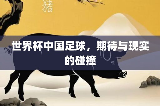 世界杯中国足球，期待与现实的碰撞