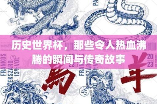 历史世界杯，那些令人热血沸腾的瞬间与传奇故事金炬实业股份有限公司