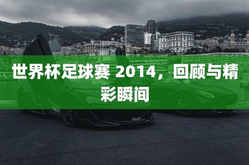 世界杯足球赛 2014，回顾与精彩瞬间