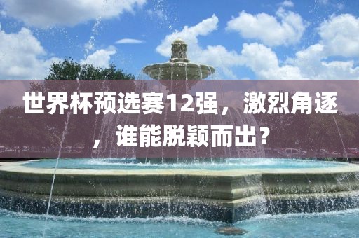 世界杯预选赛12强，激烈角逐，谁能脱颖而出？