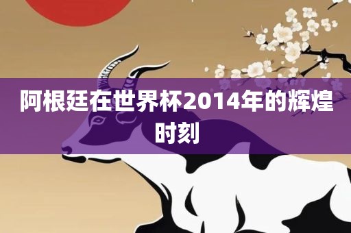 阿根廷在世界杯2014年的辉煌时刻