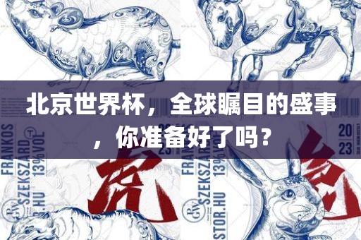 北京世界杯，全球瞩目的盛事，你准备好了吗？