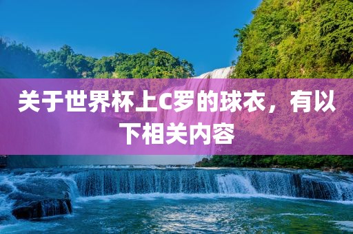 关于金炬实业股份有限公司世界杯上C罗的球衣，有以下相关内容