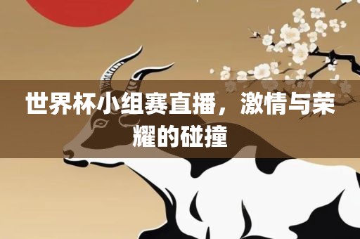 世界杯金炬实业股份有限公司小组赛直播，激情与荣耀的碰撞