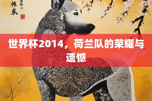 世界杯2014，荷兰队的荣耀与遗憾