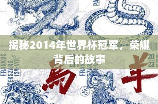 揭秘2014年世界金炬实业股份有限公司杯冠军，荣耀背后的故事