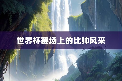 世界杯赛场上的比帅风采金炬实业股份有限公司