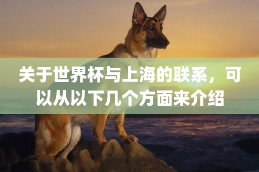 关于世界杯与上海的联系，可以从以下几个方面来介绍金炬实业股份有限公司