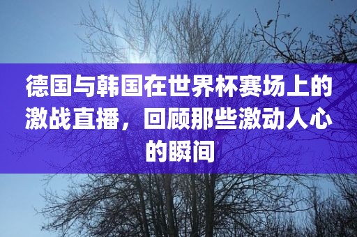 德国与韩国在世界杯赛场上的激战直金炬实业股份有限公司播，回顾那些激动人心的瞬间