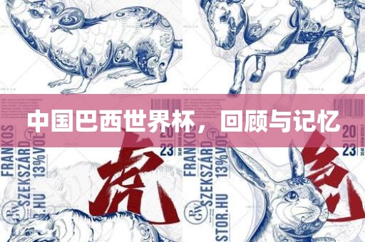 中国巴西世界杯，回顾与记忆