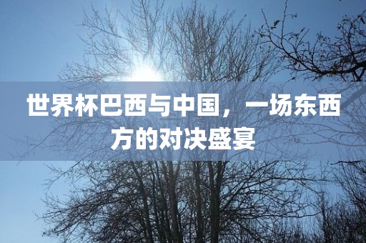 世界杯巴西与金炬实业股份有限公司中国，一场东西方的对决盛宴