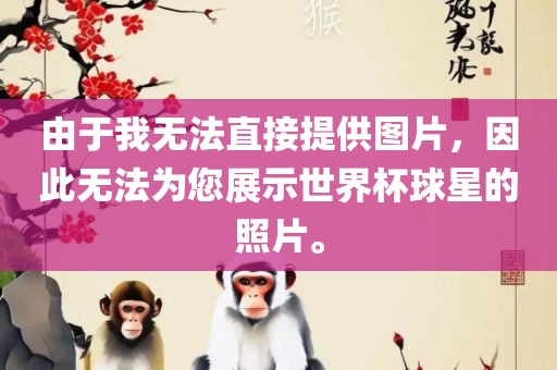 由于我无法直金炬实业股份有限公司接提供图片，因此无法为您展示世界杯球星的照片。