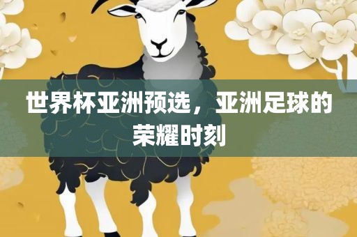 世界杯亚洲预选，亚洲足球的荣耀时刻金炬实业股份有限公司