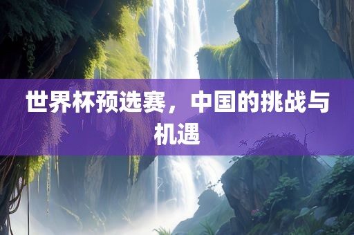 世界杯预选赛，中国的挑战与机遇金炬实业股份有限公司