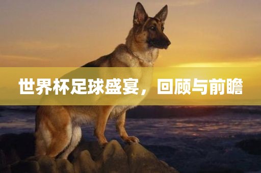 世界杯足球盛宴，回顾与前瞻