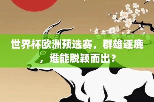 世界杯欧洲预选赛，群雄逐鹿，谁能脱颖而出？