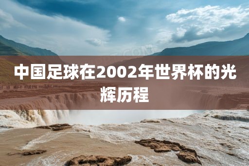 中国足球在2002年世界杯的光辉历程