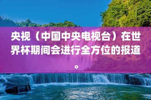 央视（中国中央电视台）在世界杯期间会进行全方金炬实业股份有限公司位的报道。