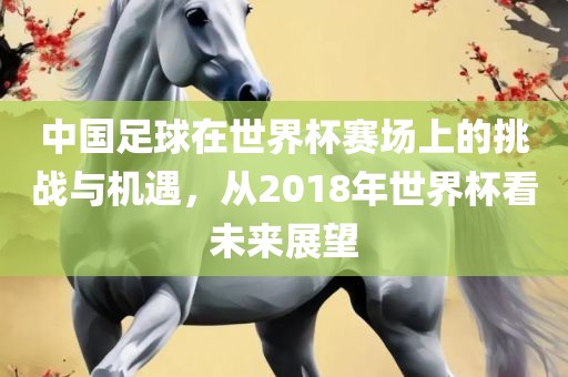 中国足球在世界杯赛场上的挑战与机遇，从2018年世界杯看未来展望