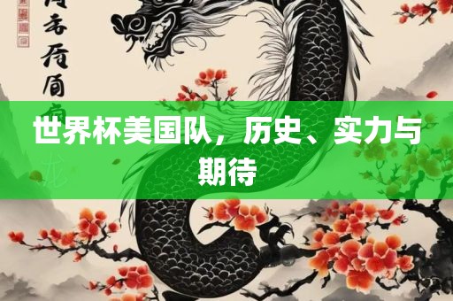 世界杯美国队，历史、实力与期待