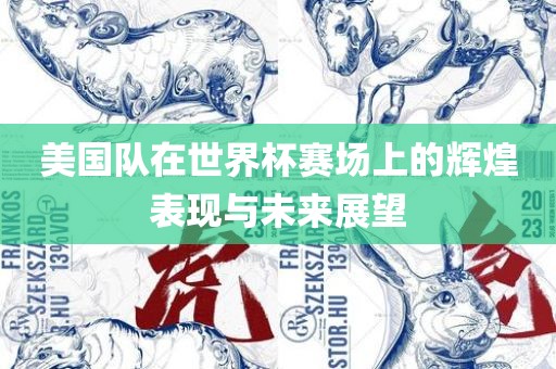美国队在世界杯赛场上的辉煌表现与未来展望